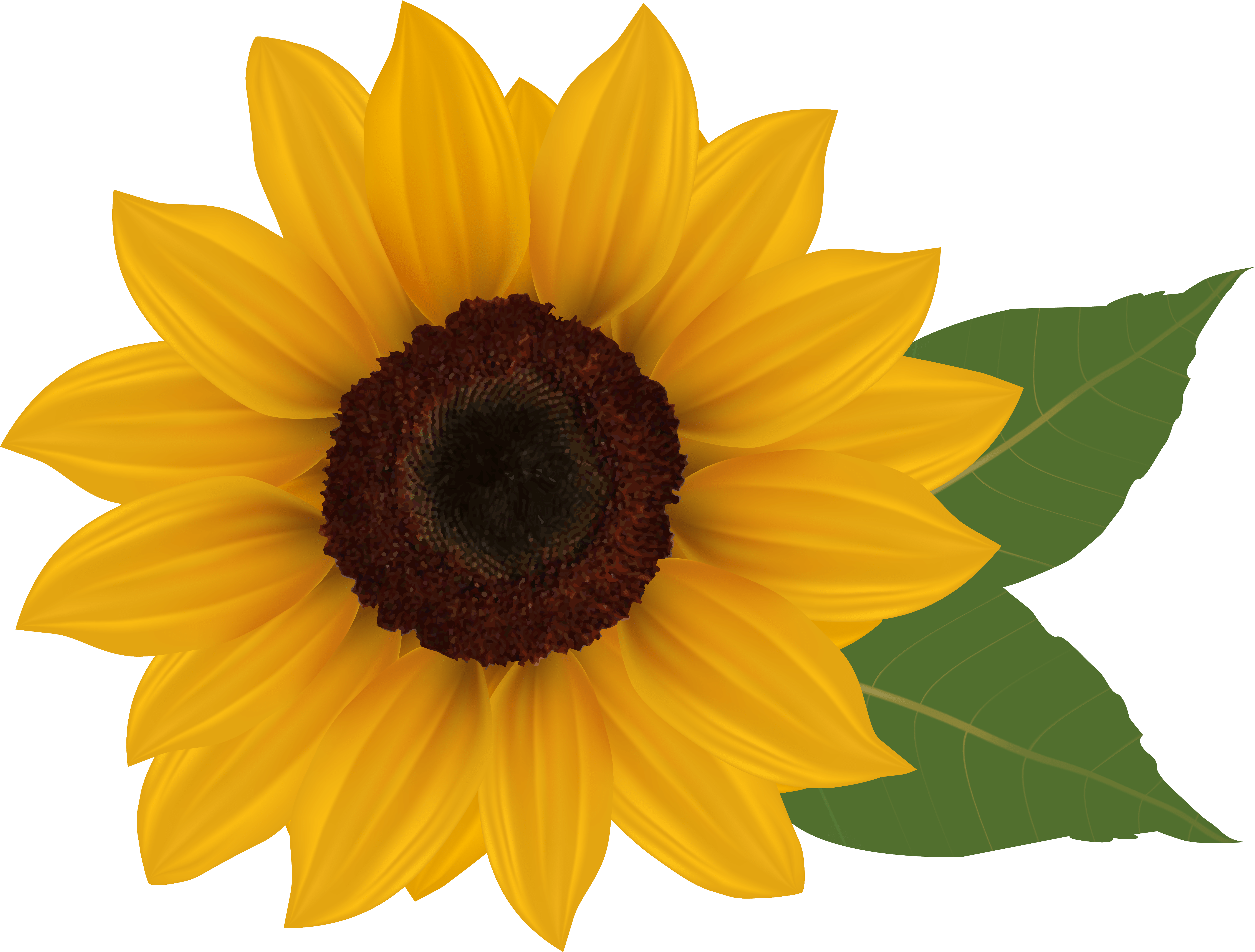 Vibrant Sunflower Illustration