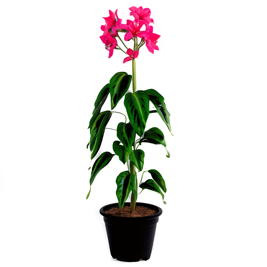 Vibrant Tall Plant Png 88