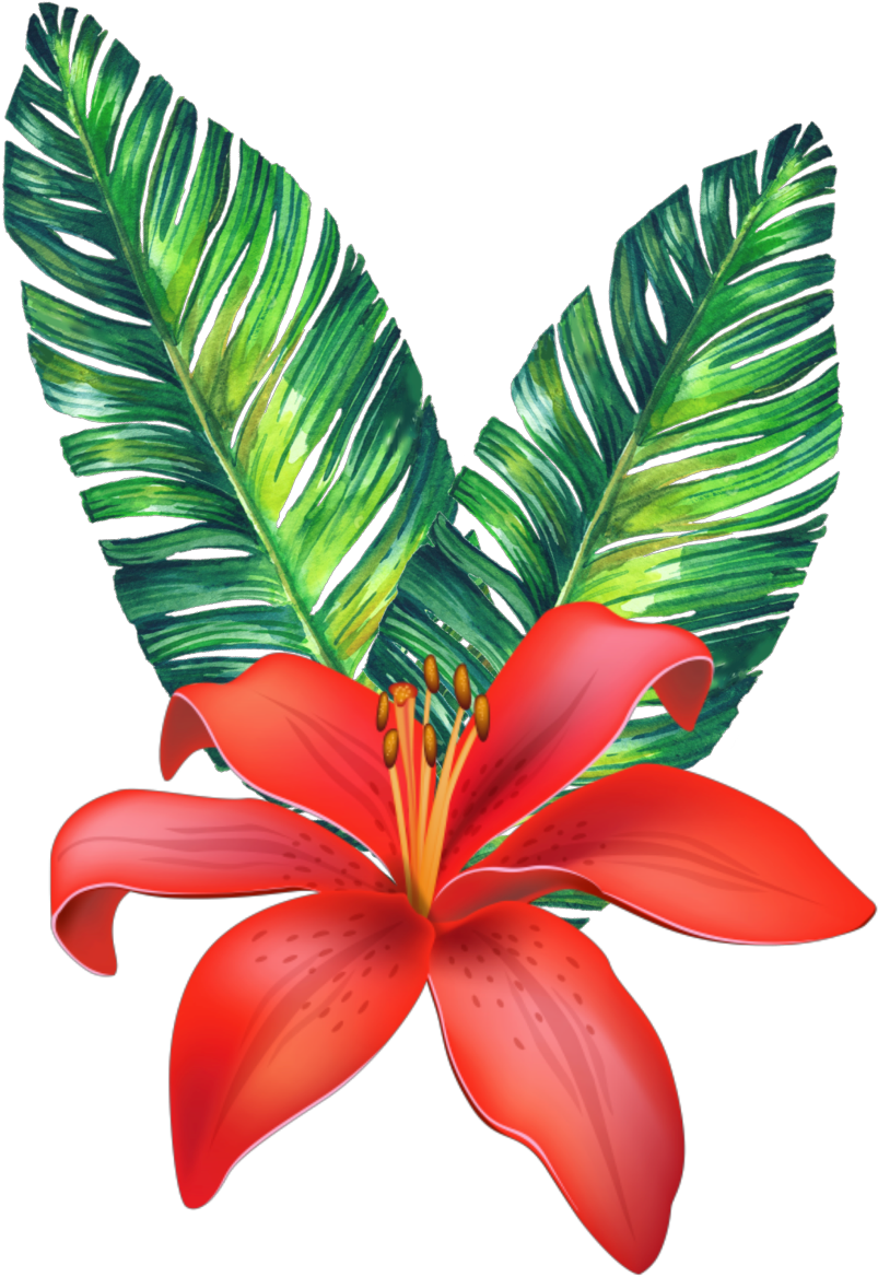 Vibrant Tropical Flora