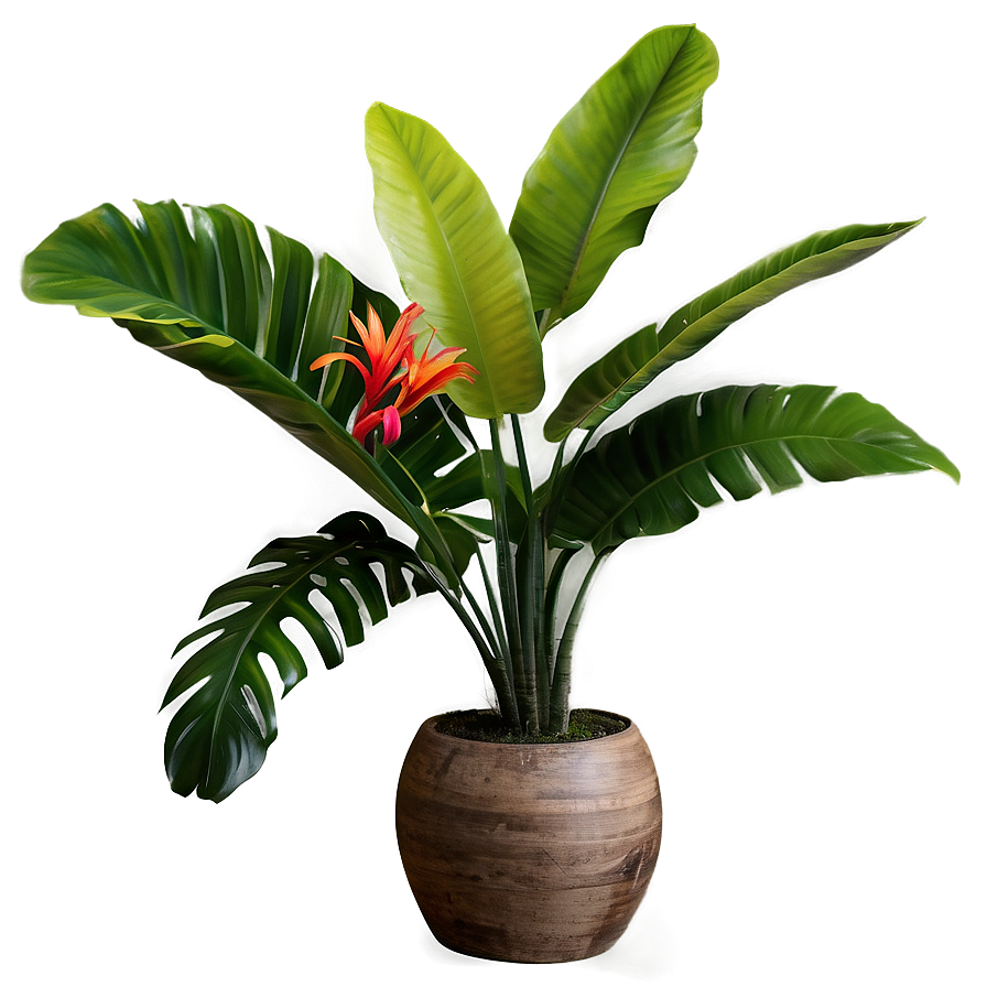 Vibrant Tropical Plants Png Sen