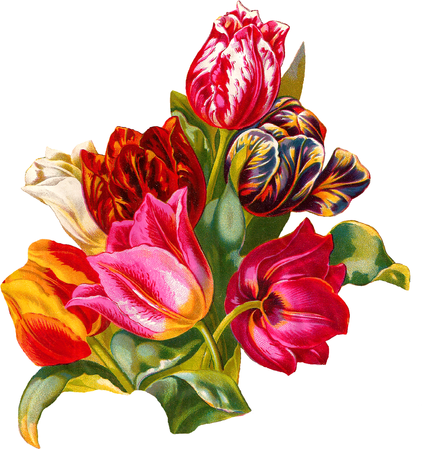 Vibrant_ Tulip_ Bouquet_ Artwork