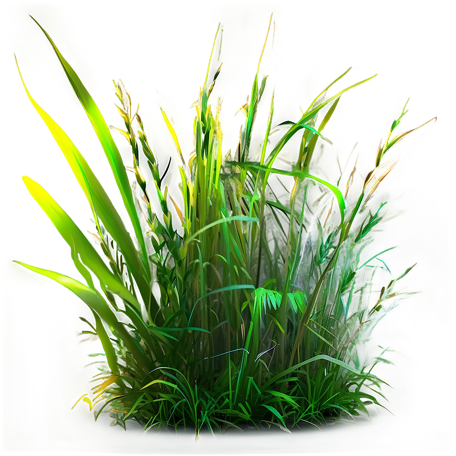 Vibrant Wild Grass Png Oht