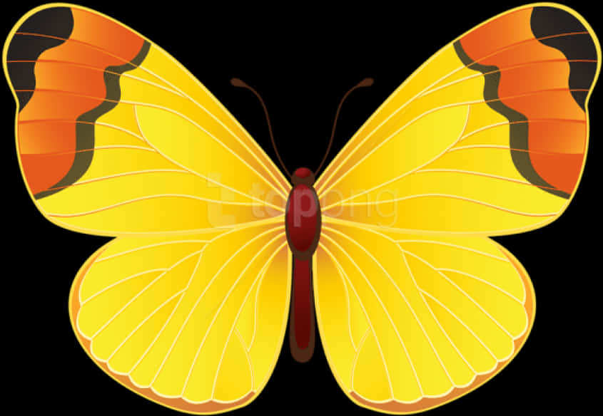 Vibrant Yellow Butterfly Illustration