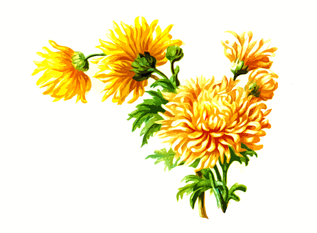 Vibrant Yellow Chrysanthemums Artwork