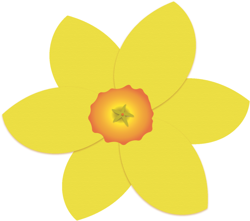 Vibrant Yellow Daffodil Illustration