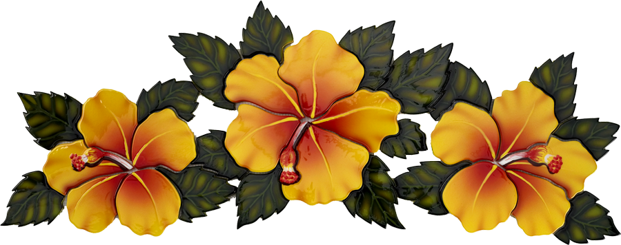 Vibrant Yellow Hibiscus Flowers