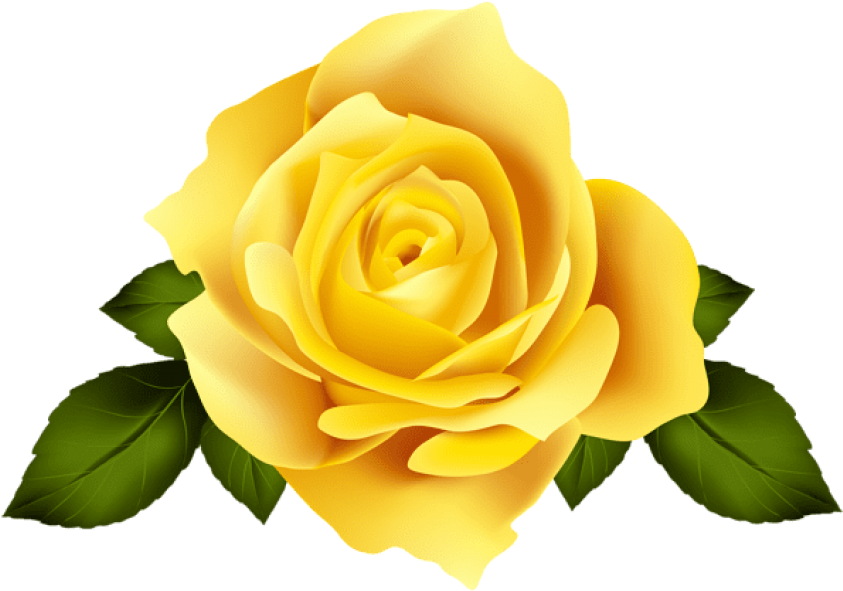 Vibrant Yellow Rose Graphic