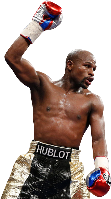 Victorious Boxer Raising Fist