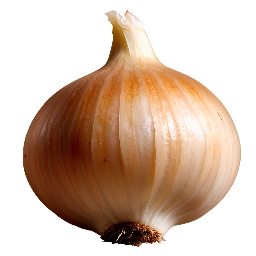 Vidalia Onion Png 32