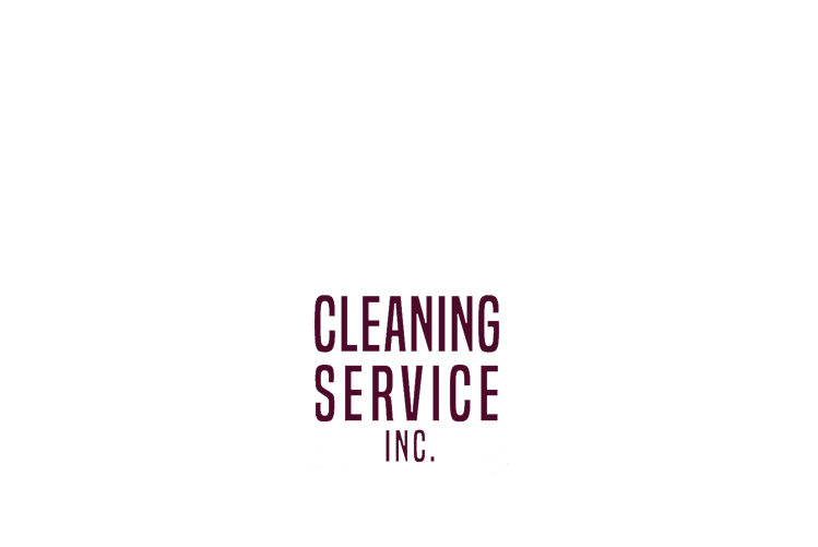 Viking Cleaning Service Logo