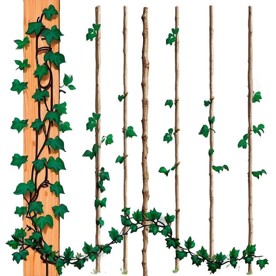 Vine Climbing Wooden Trellis