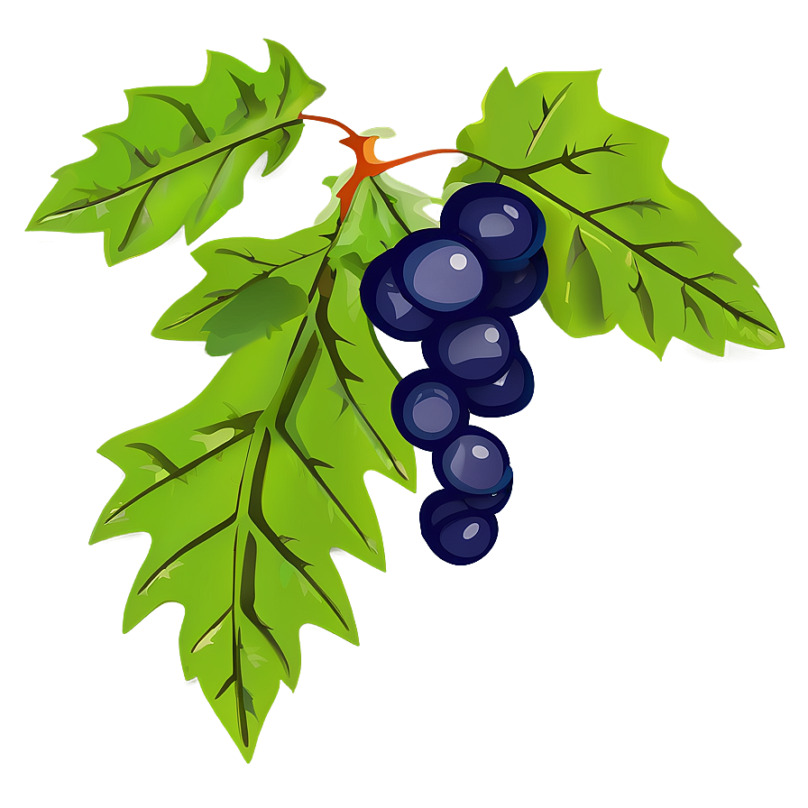 Vine Plant Clipart Png 06272024