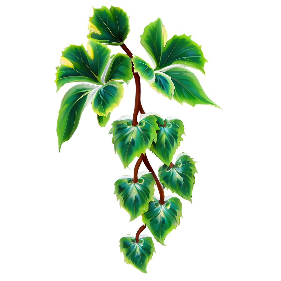 Vine Plant Png 56