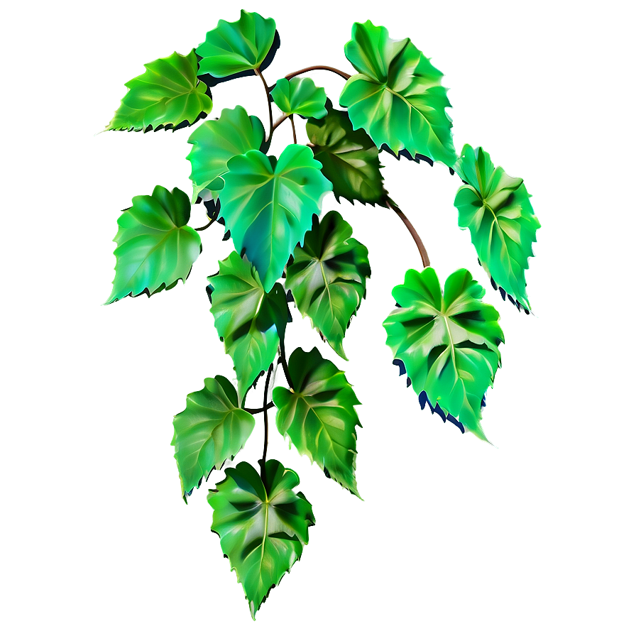 Vine Plant Png Eqw33