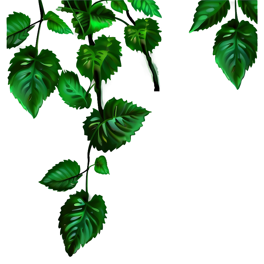 Vine Plant Png Qqx14