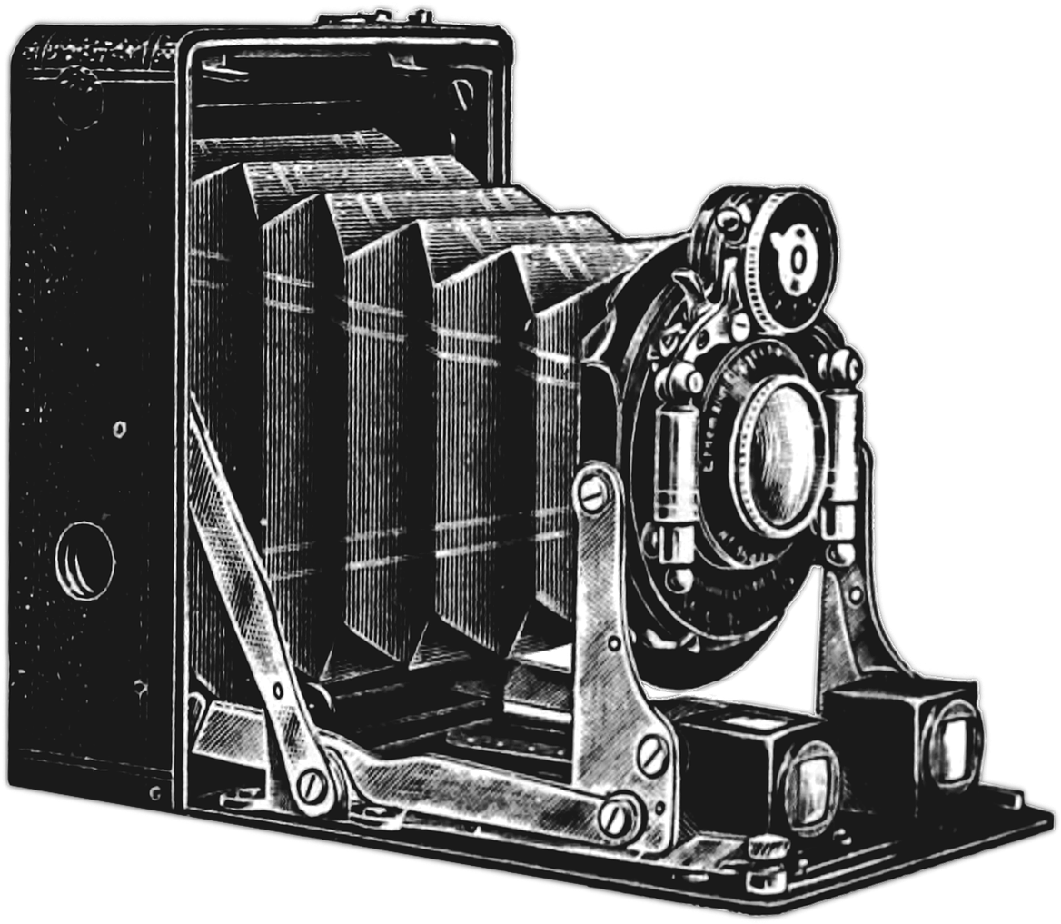 Vintage Bellows Camera Illustration