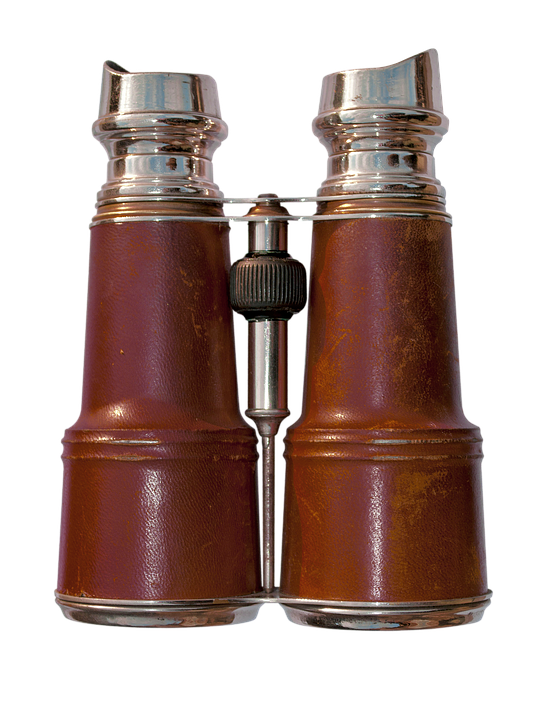 Vintage Binoculars Leather Covering