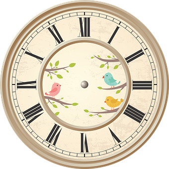 Vintage Bird Illustrated Wall Clock