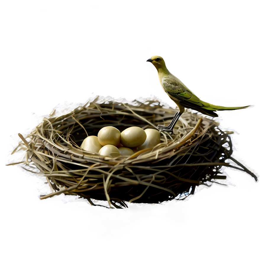 Vintage Bird Nest Png Mha