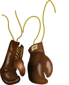 Vintage Boxing Gloves Illustration