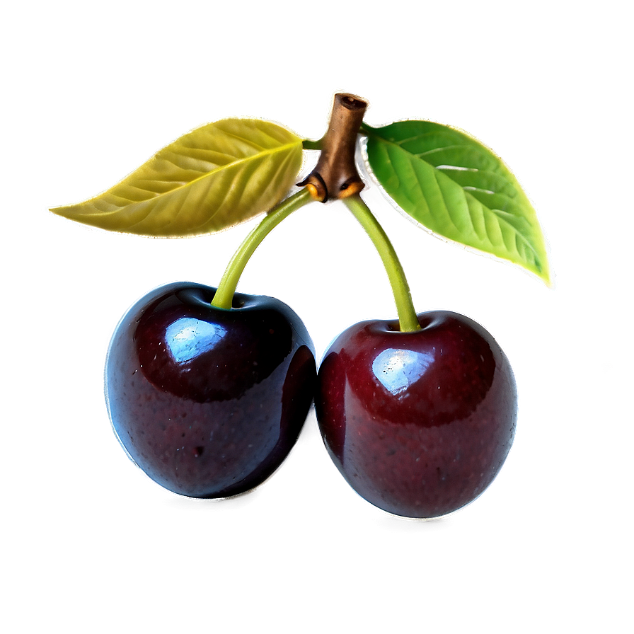 Vintage Cherries Png 11