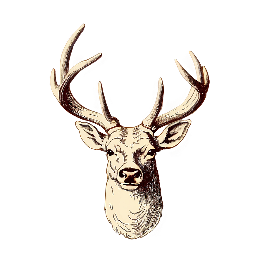 Vintage Deer Antler Sketch Png 70