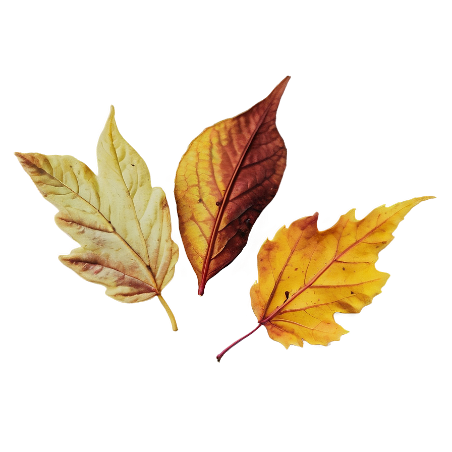 Vintage Fallen Leaves Image Png Aeh21