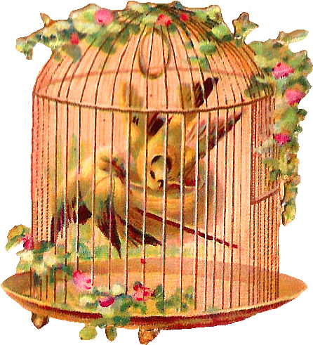 Vintage Floral Birdcage