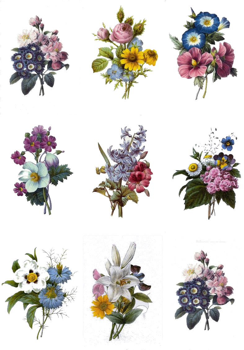 Vintage Floral Bouquet Collection