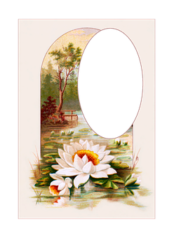 Vintage Floral Framewith Water Lily