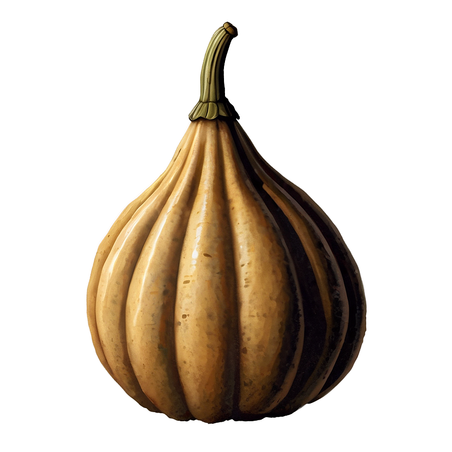 Vintage Gourd Png 06292024