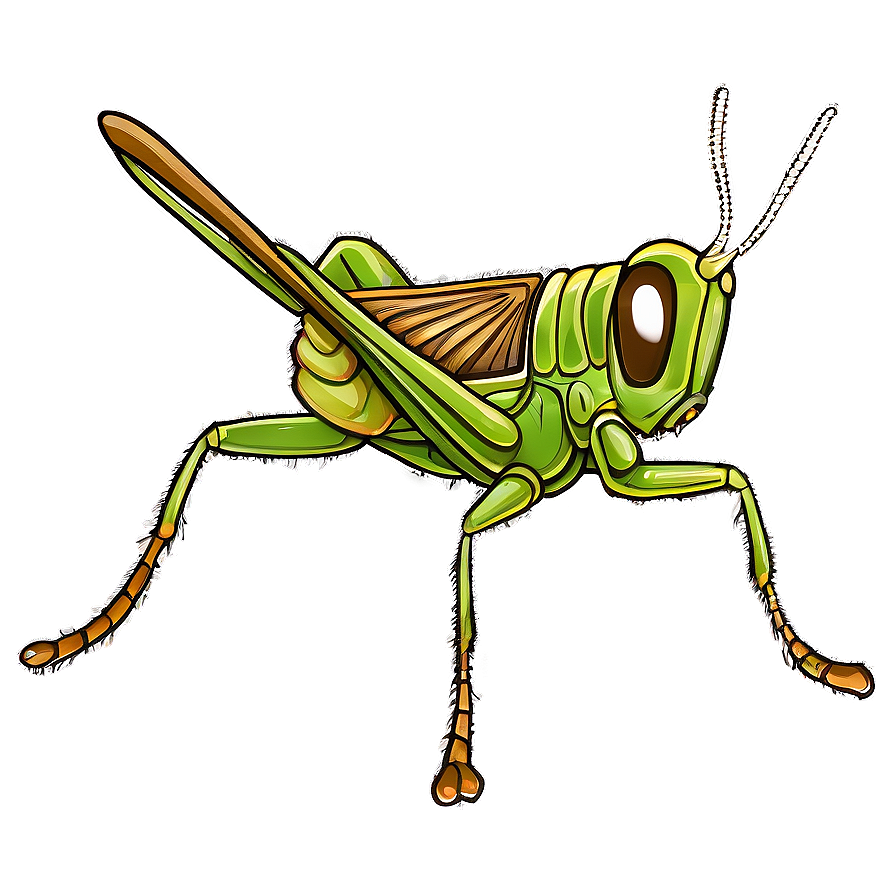 Vintage Grasshopper Illustration Png Dgn