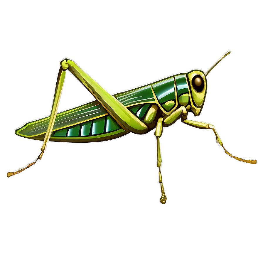 Vintage Grasshopper Illustration Png Ubh