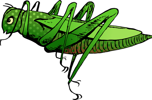 Vintage Green Grasshopper Illustration