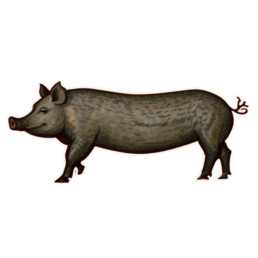 Vintage Hog Png 06252024