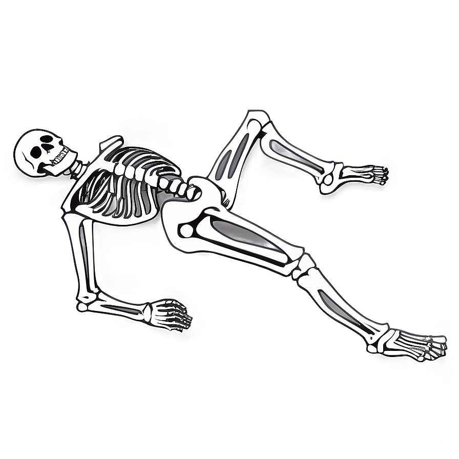 Vintage Human Skeleton Drawing Png Tgd