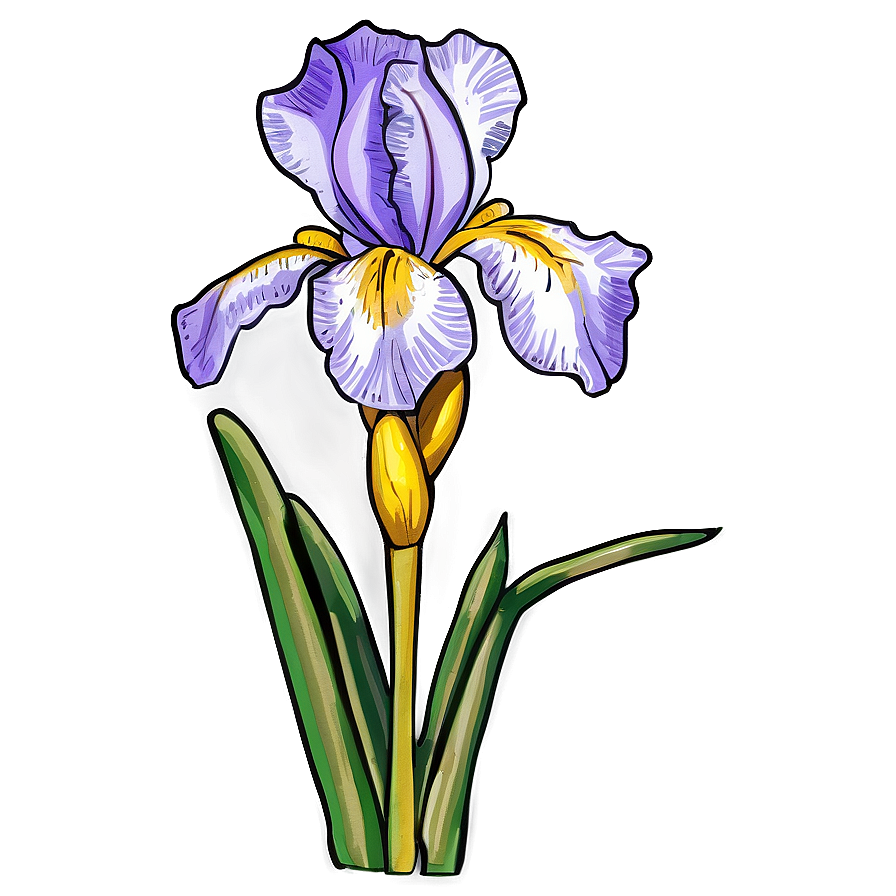 Vintage Iris Drawing Png 42