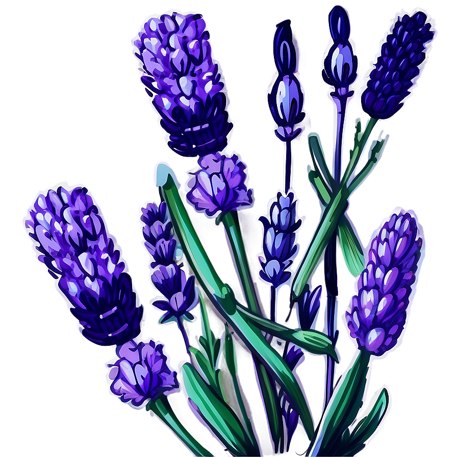 Vintage Lavender Illustration Png Cta