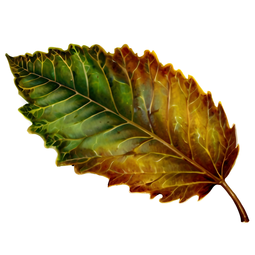 Vintage Leaves Png Kvp