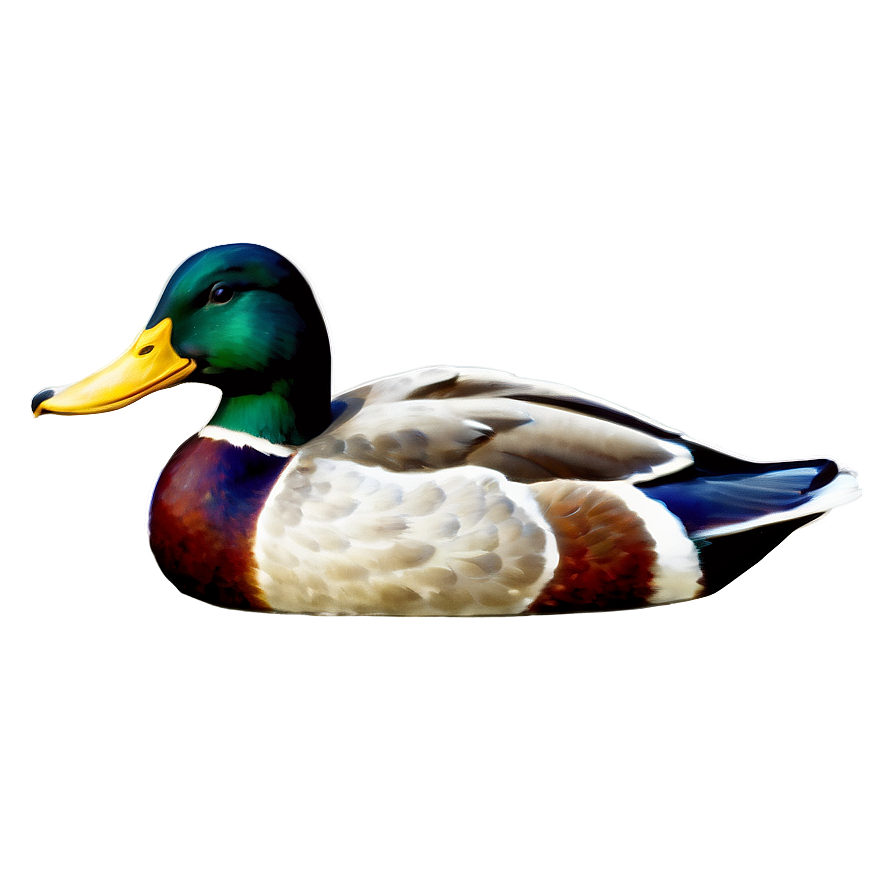 Vintage Mallard Duck Png Esw13