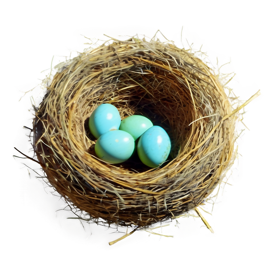 Vintage Nest Illustration Png Tyi35