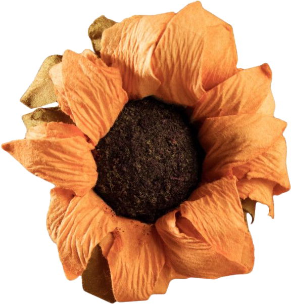 Vintage Orange Flower Isolated