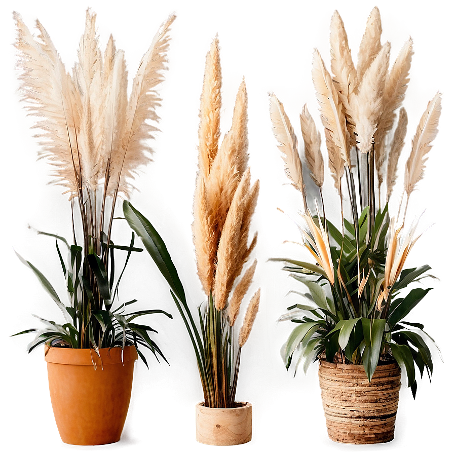 Vintage Pampas Display Png 06272024