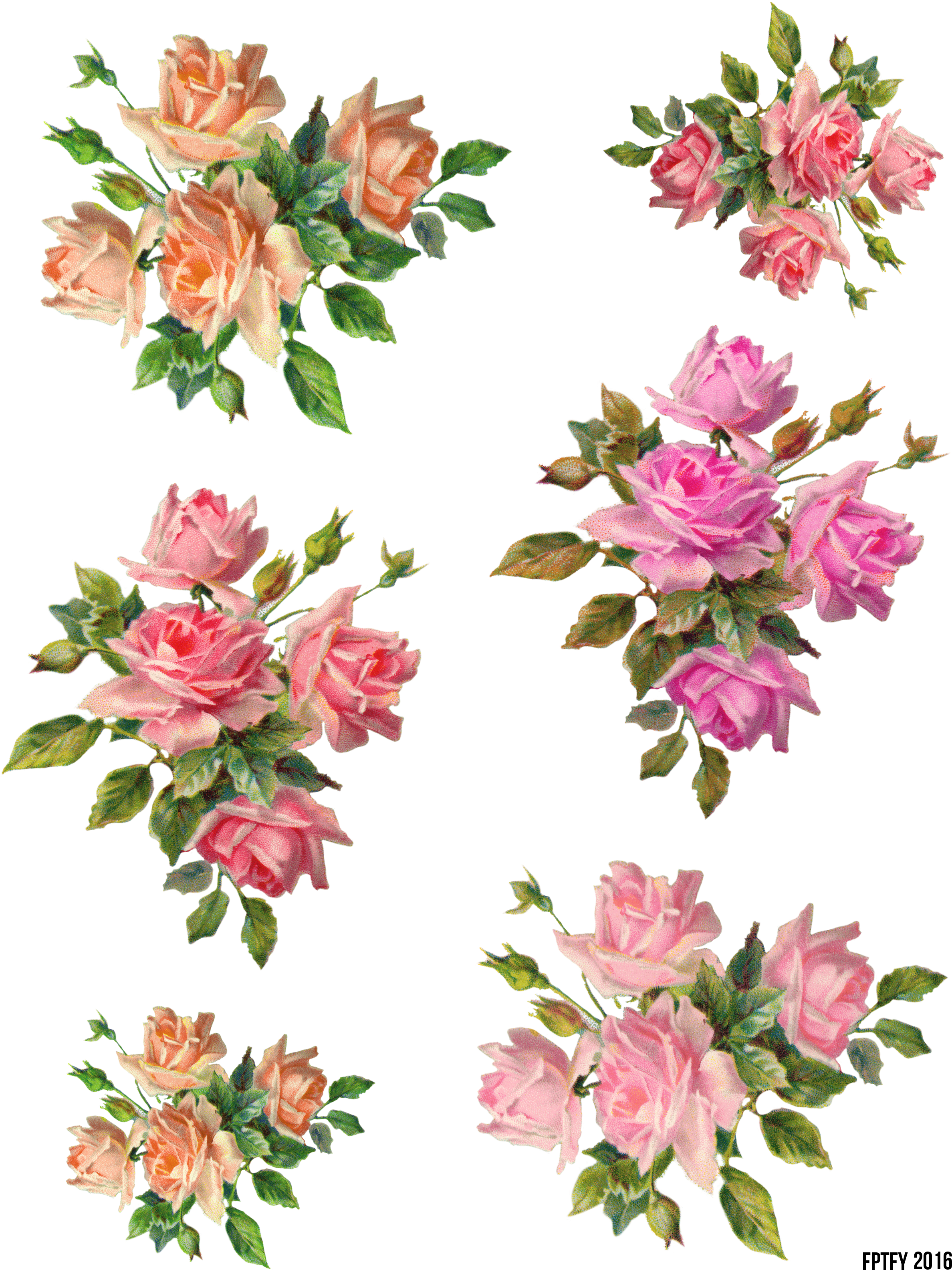 Vintage_ Pink_ Rose_ Collection