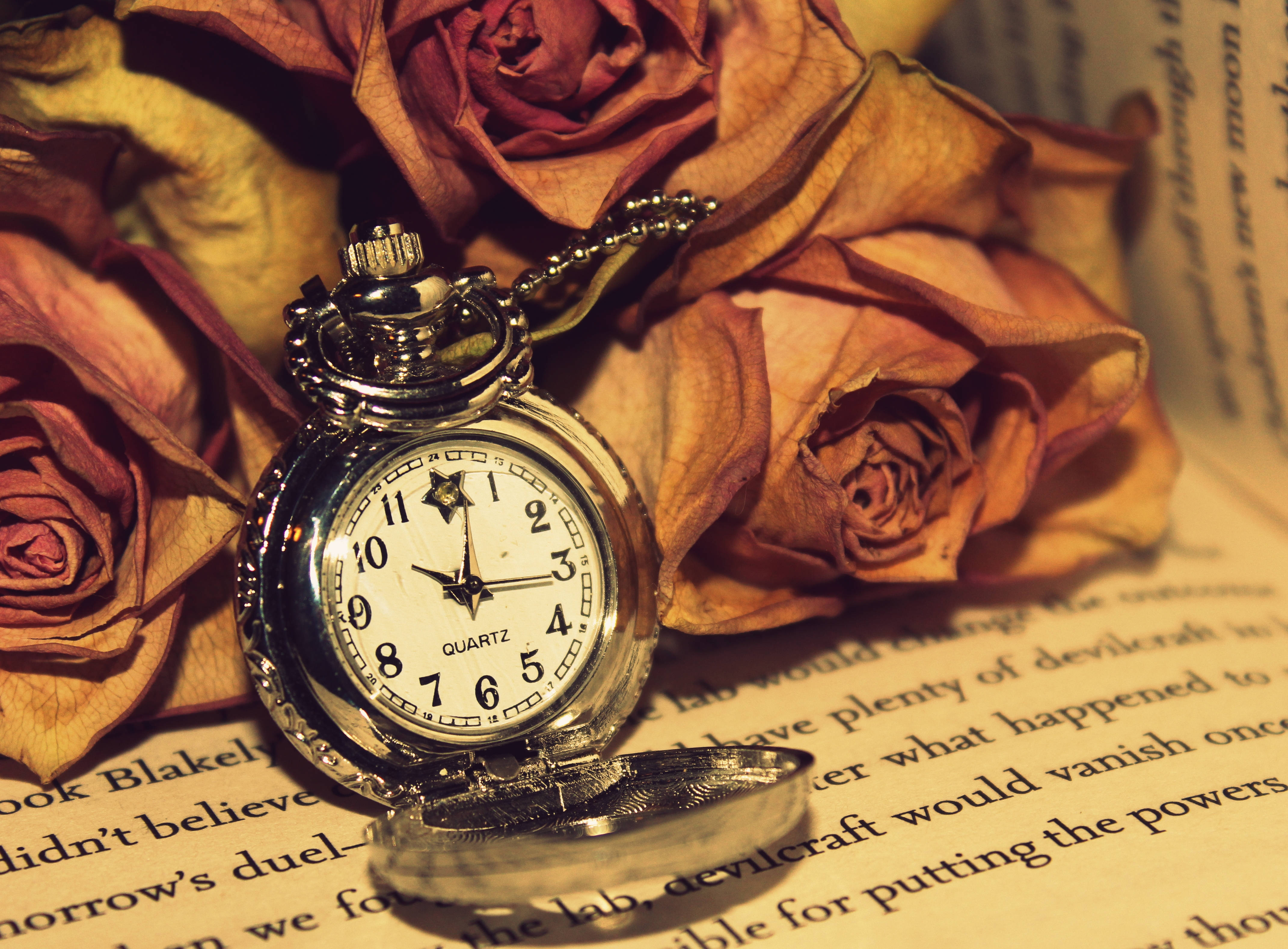 Vintage Pocket Watchand Dried Roses