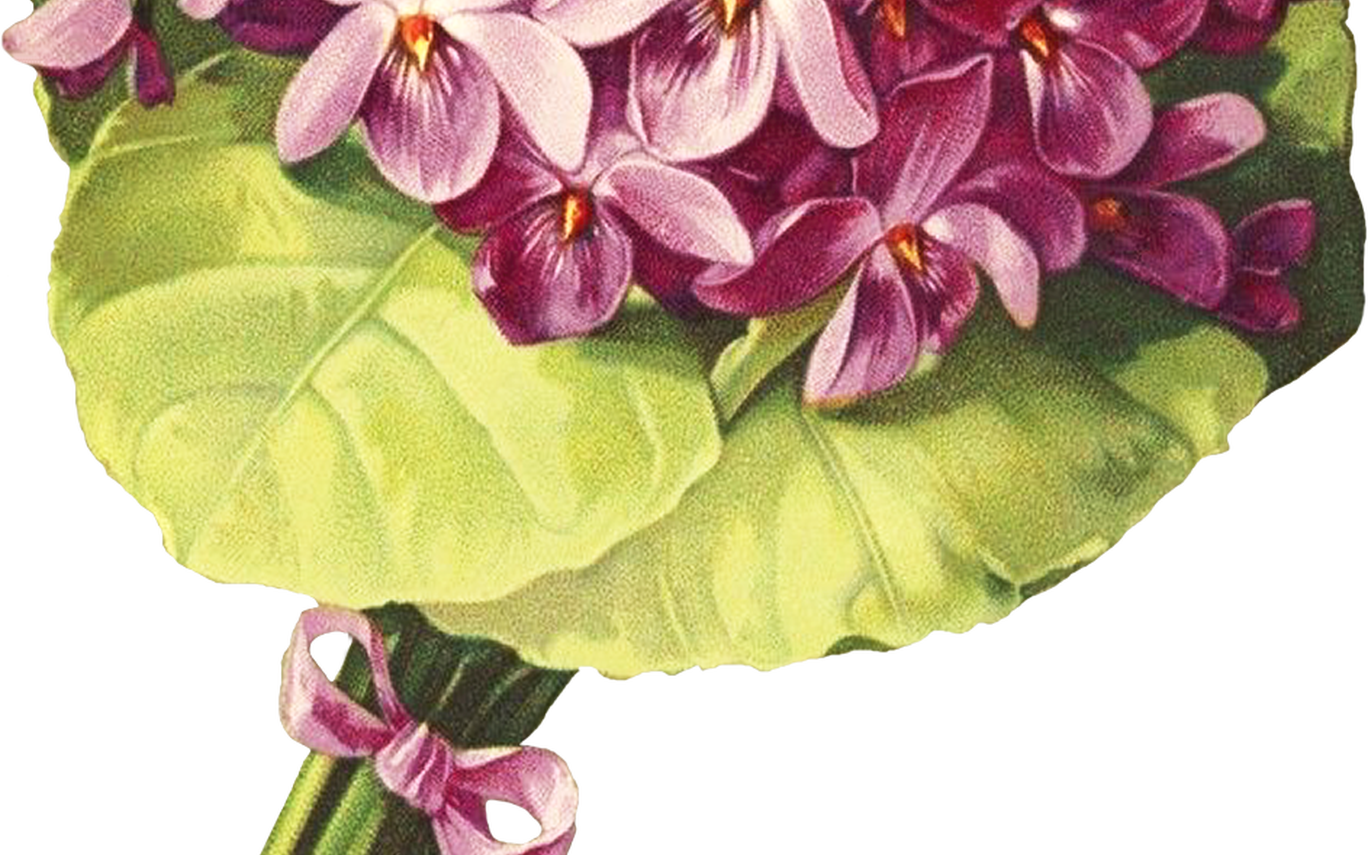 Vintage Purple Orchids Bouquet