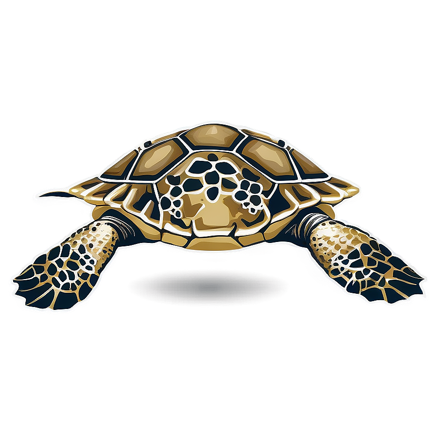 Vintage Sea Turtle Illustration Png 86