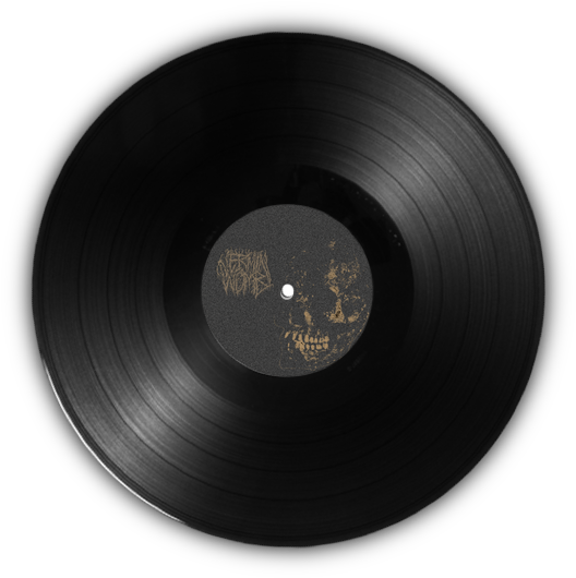 Vinyl_ Record_ Womb_ Label