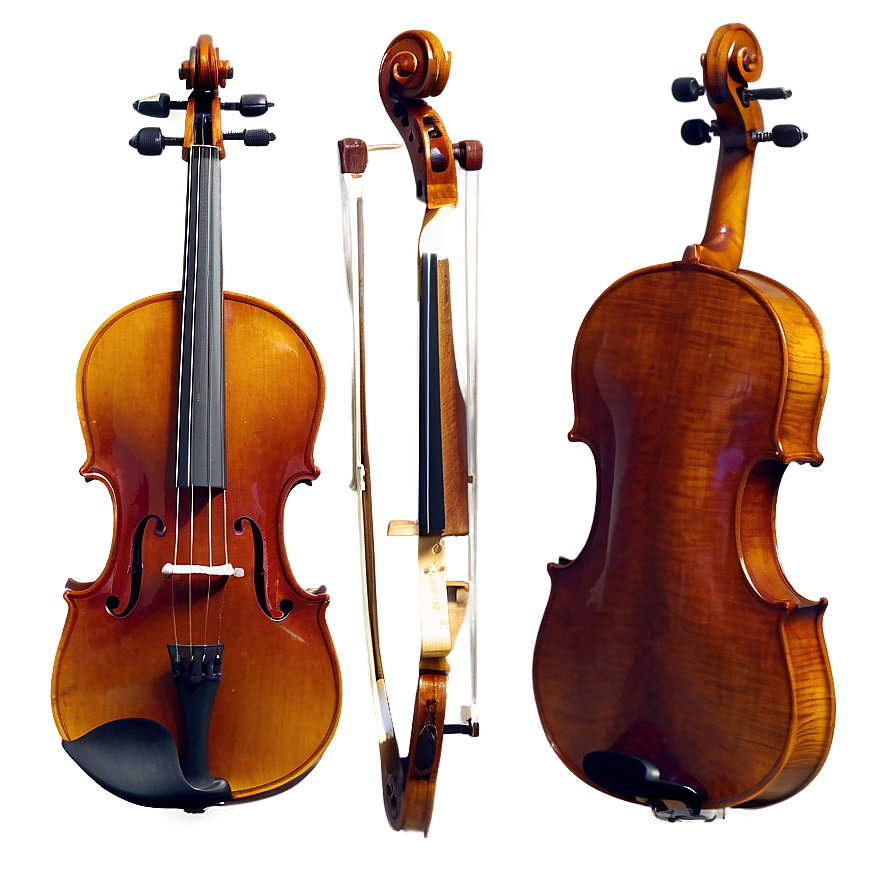 Viola D