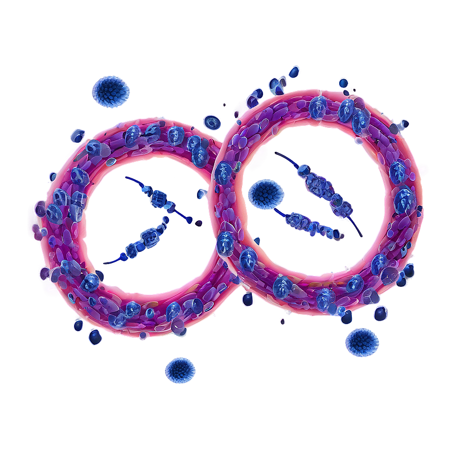 Viral Infection Cycle Png Hft